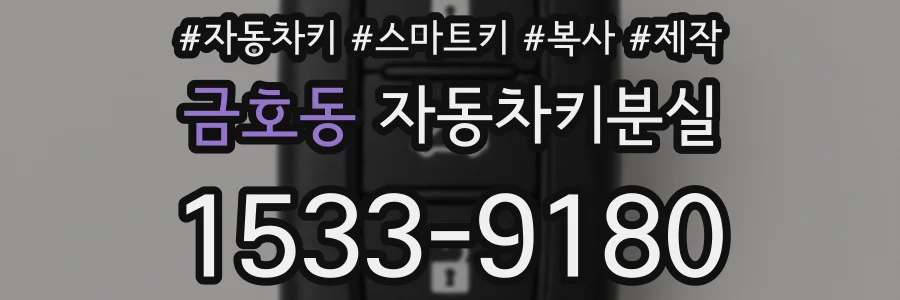 금호동 자동차키분실