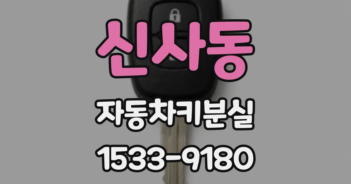 신사동 자동차키분실