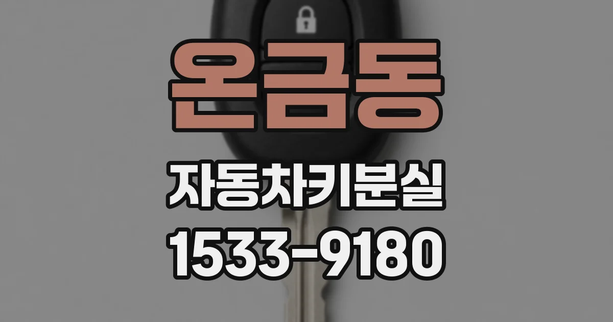 온금동 자동차키분실