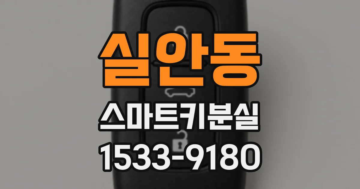실안동 스마트키분실