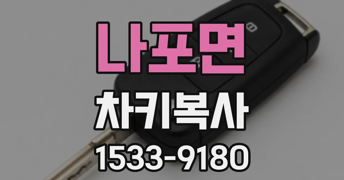 나포면 차키복사