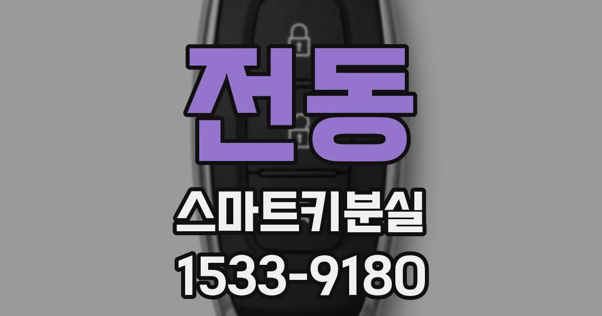 전동 스마트키분실