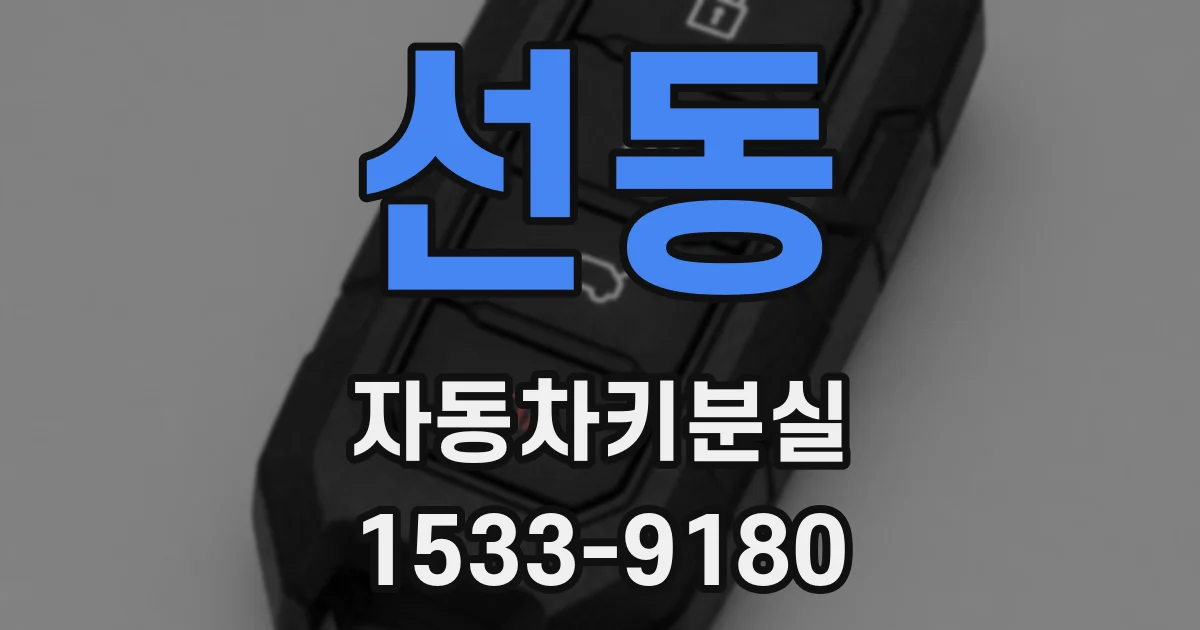 선동 자동차키분실
