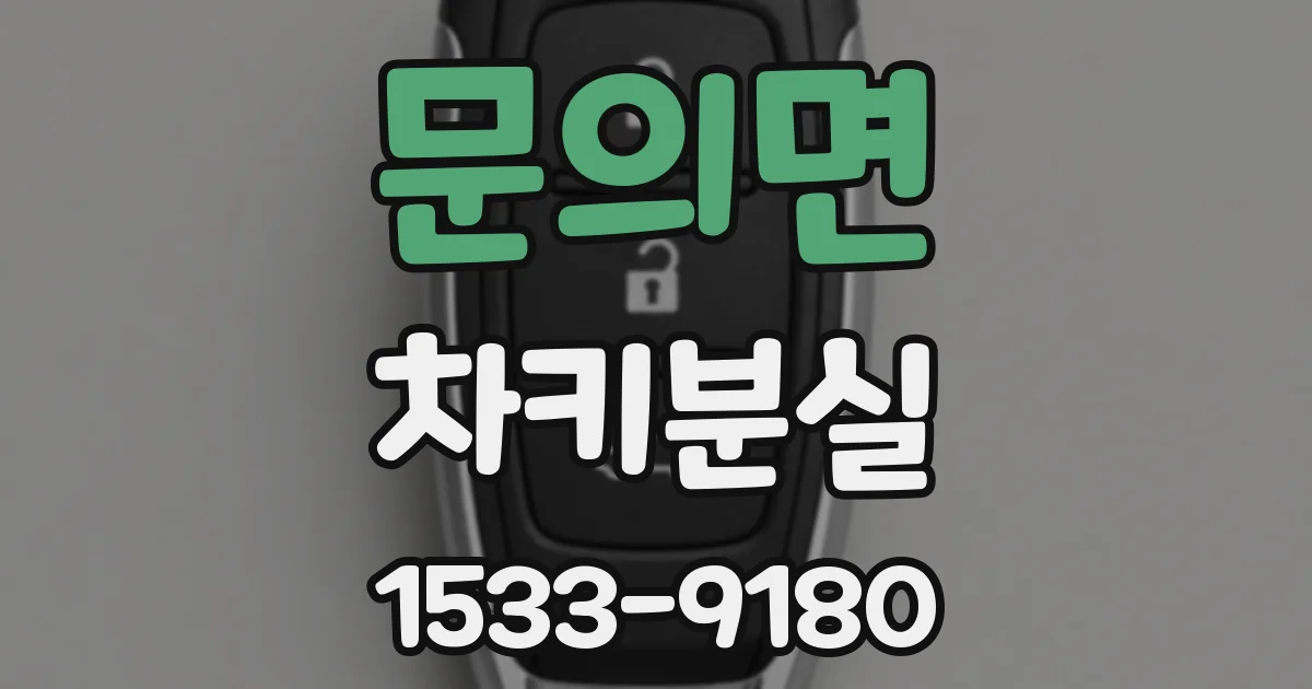 문의면 차키분실