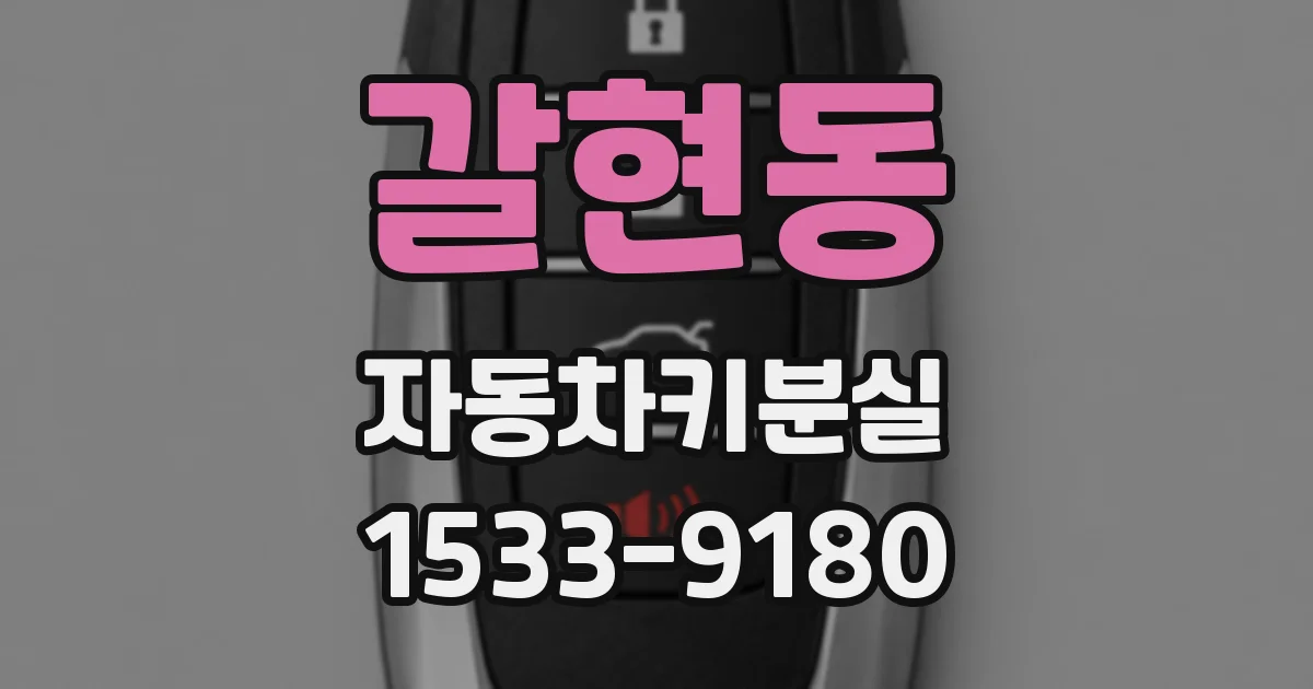 갈현동 자동차키분실