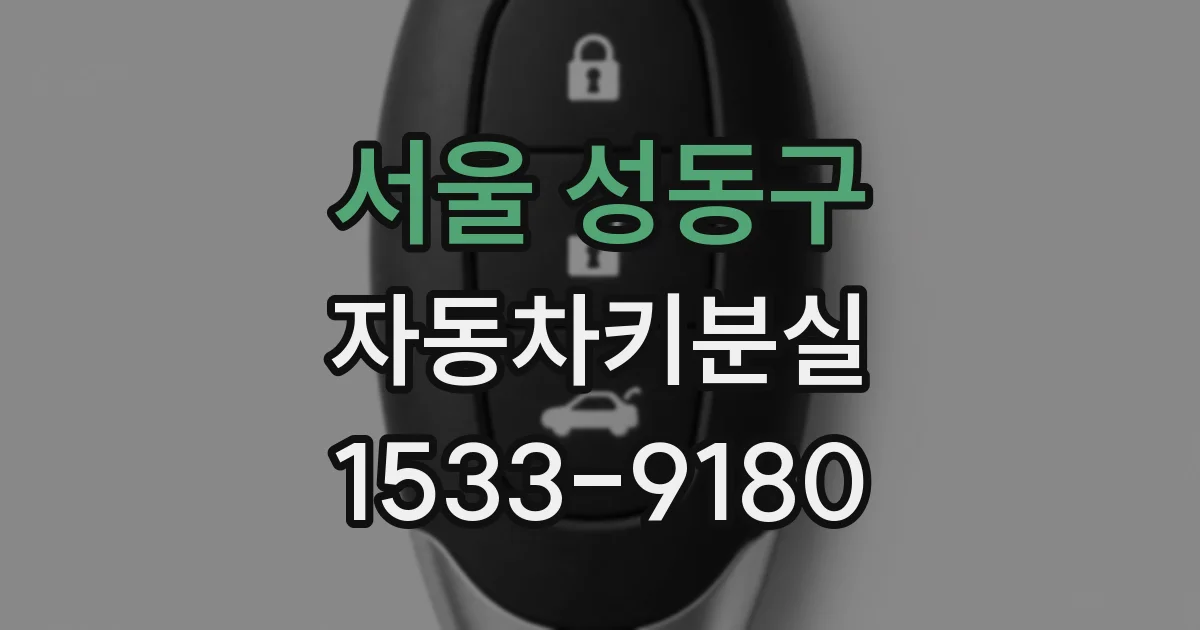 서울 성동구 자동차키분실