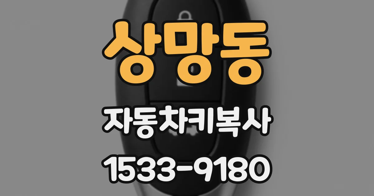 상망동 자동차키복사