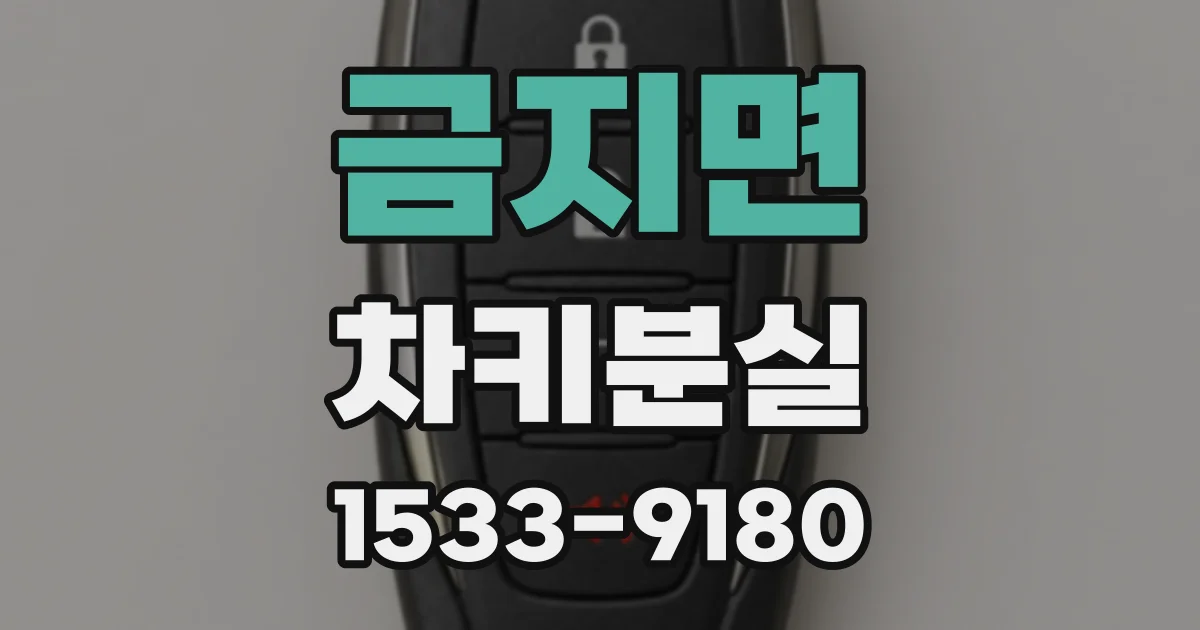 금지면 차키분실
