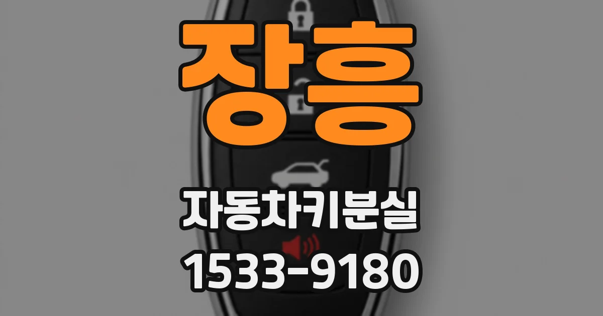 장흥 자동차키분실