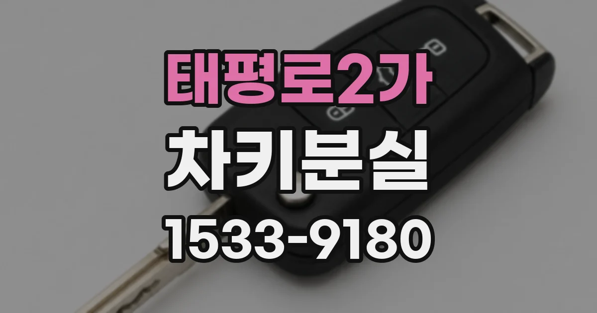태평로2가 차키분실