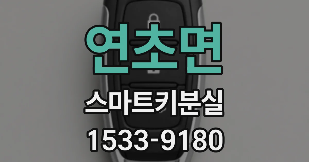 연초면 스마트키분실
