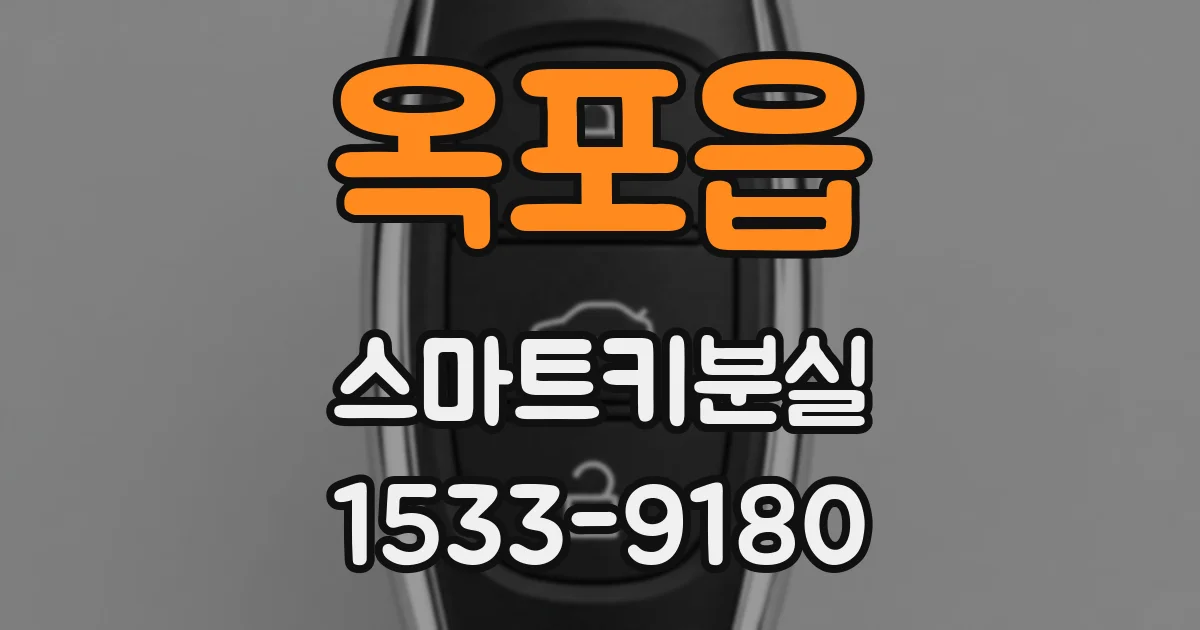 옥포읍 스마트키분실