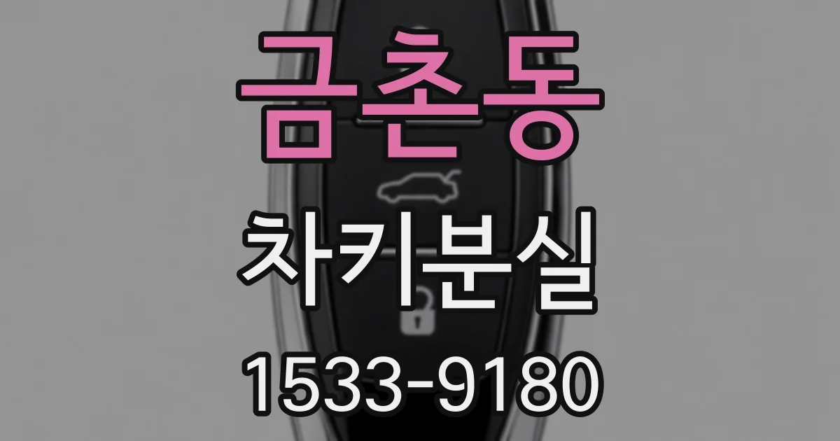 금촌동 차키분실