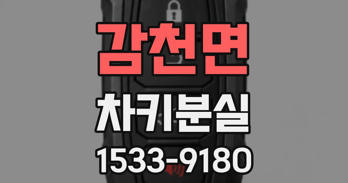 감천면 차키분실