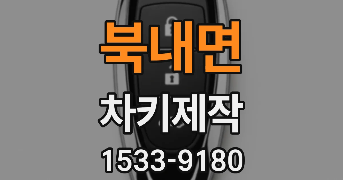북내면 차키제작
