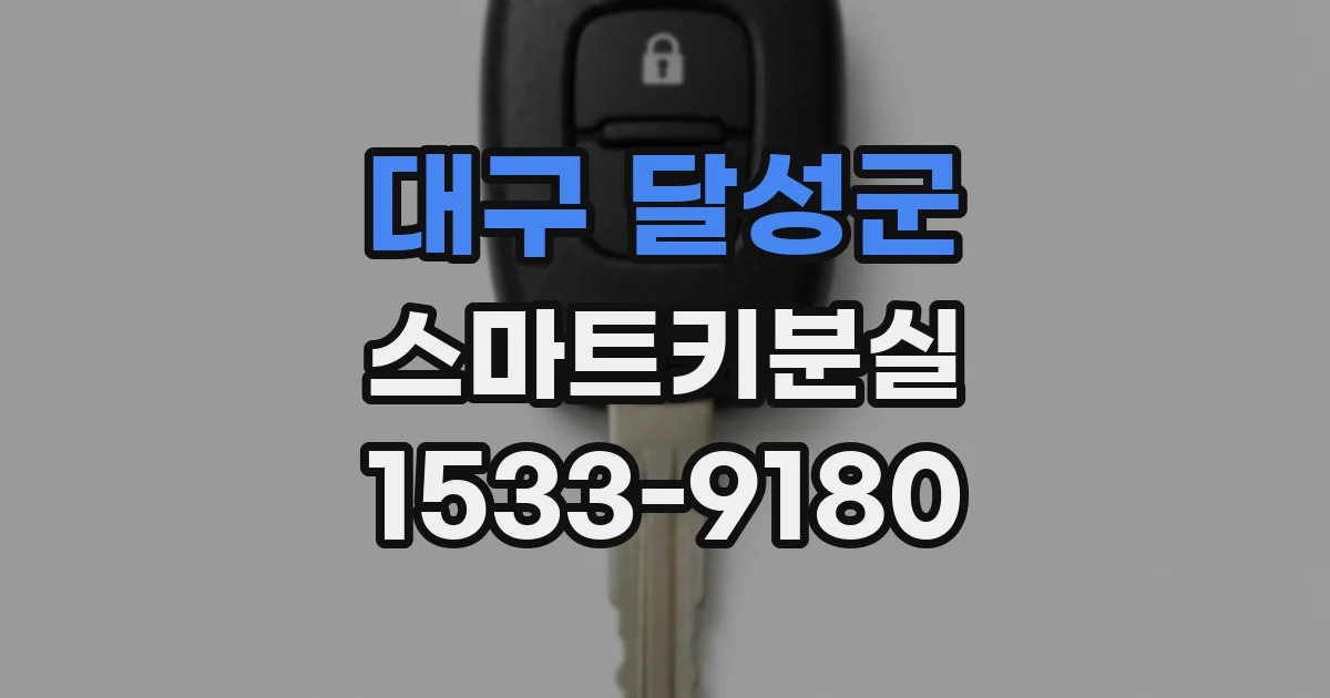 대구 달성군 스마트키분실