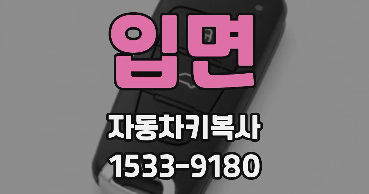 입면 자동차키복사