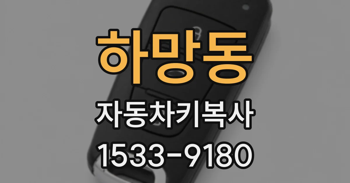 하망동 자동차키복사