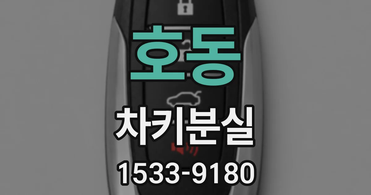 호동 차키분실