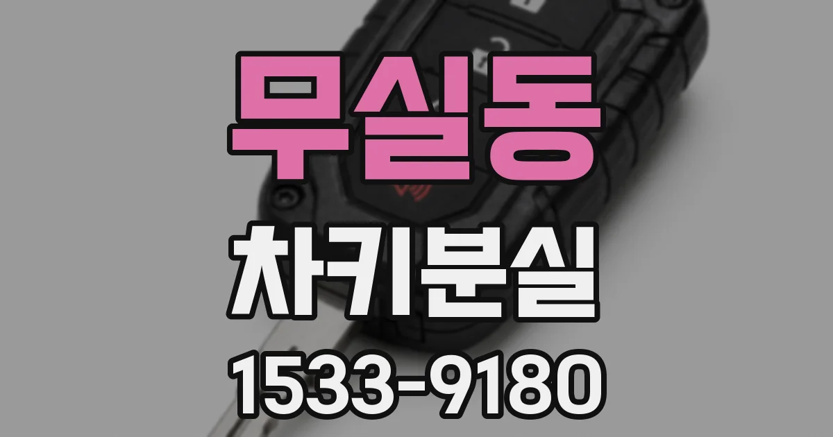 무실동 차키분실