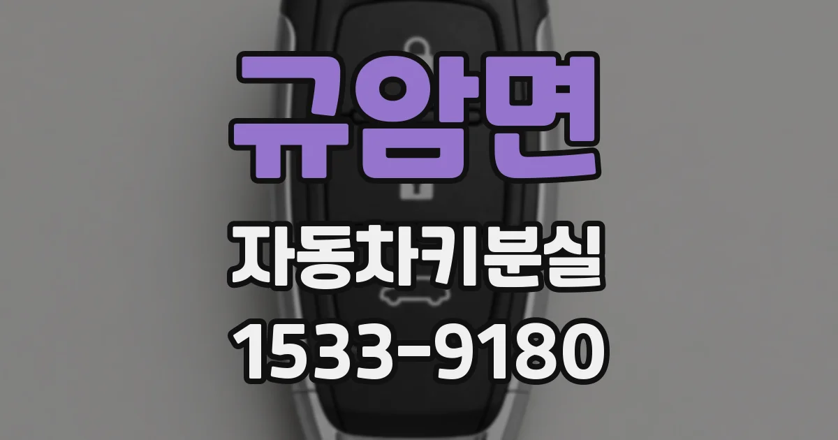 규암면 자동차키분실