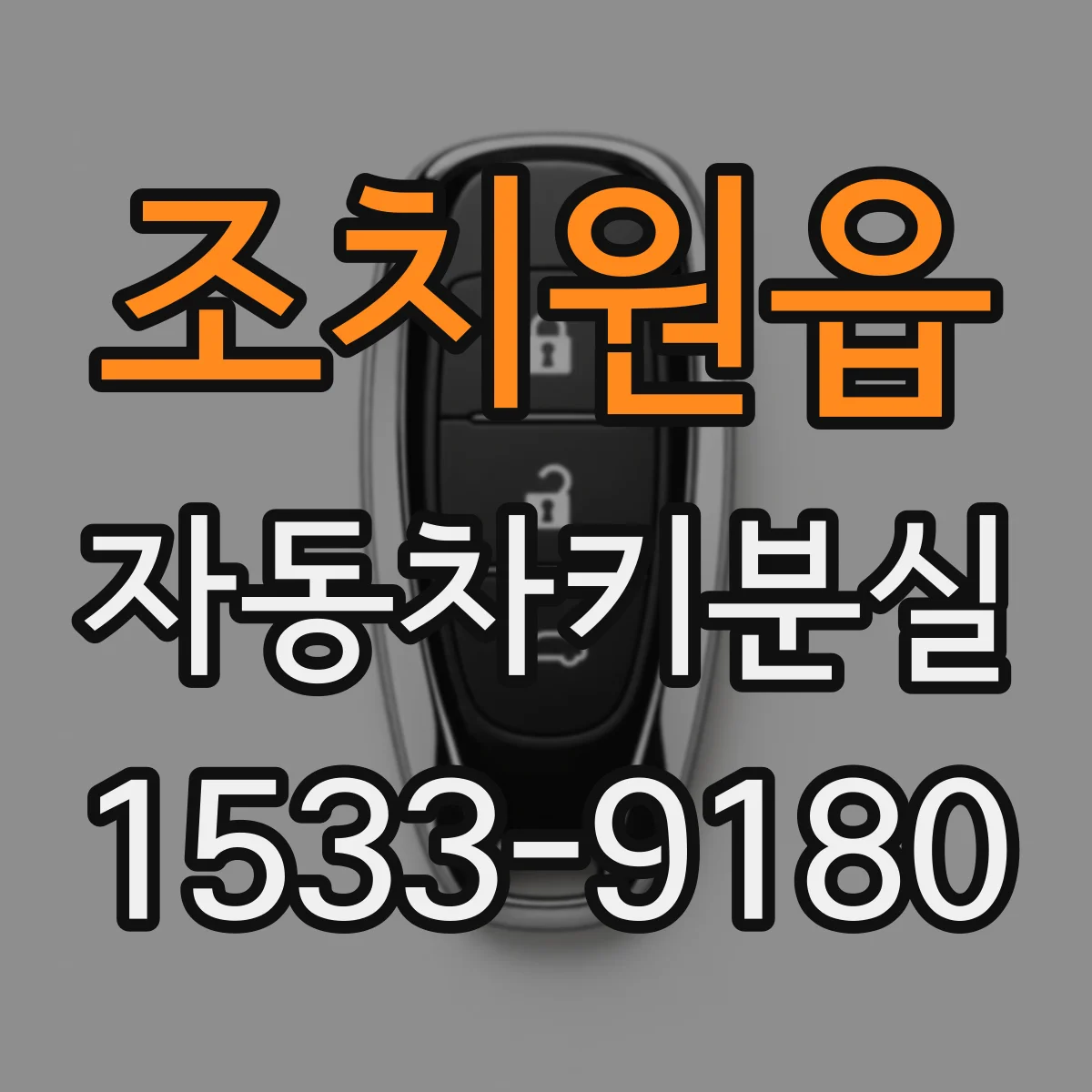 조치원읍 자동차키분실