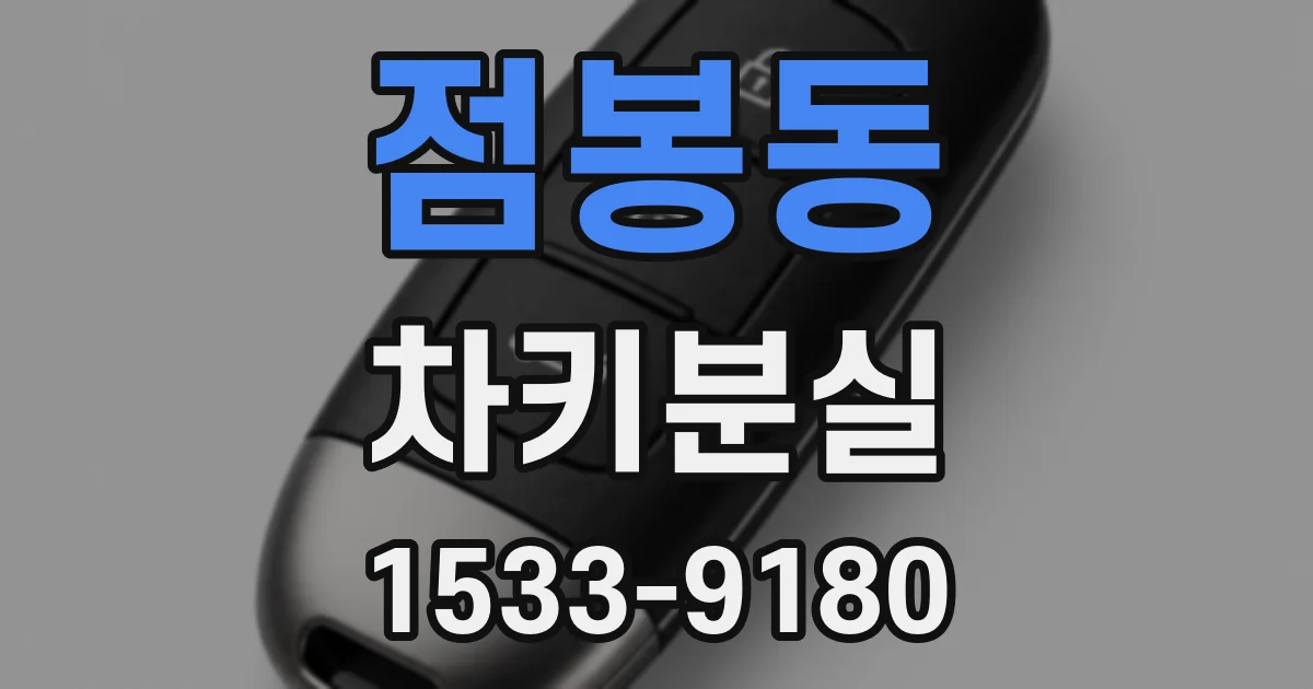 점봉동 차키분실