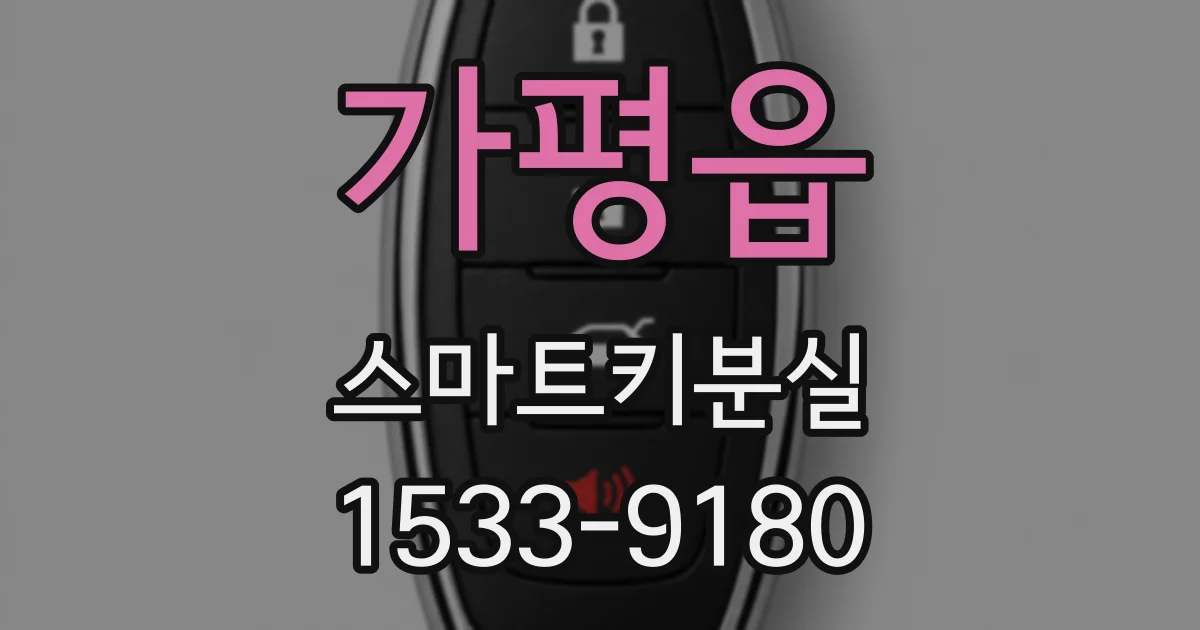 가평읍 스마트키분실