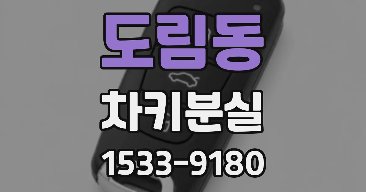 도림동 차키분실