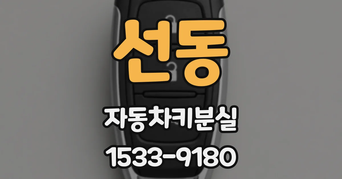 선동 자동차키분실