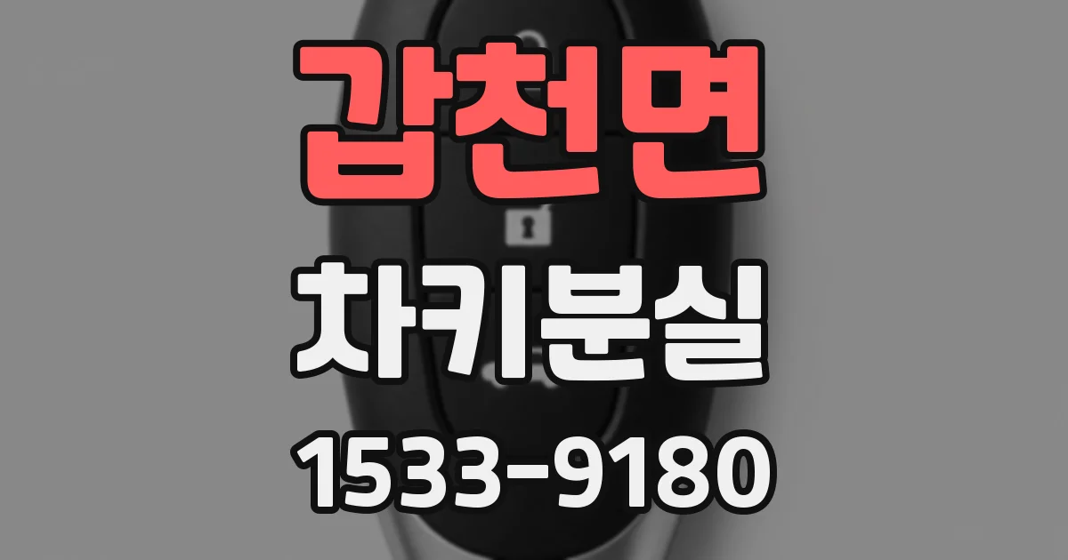 갑천면 차키분실
