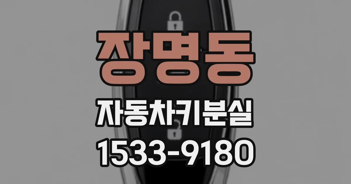 장명동 자동차키분실