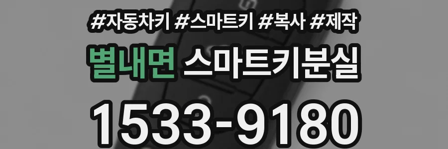 별내면 스마트키분실