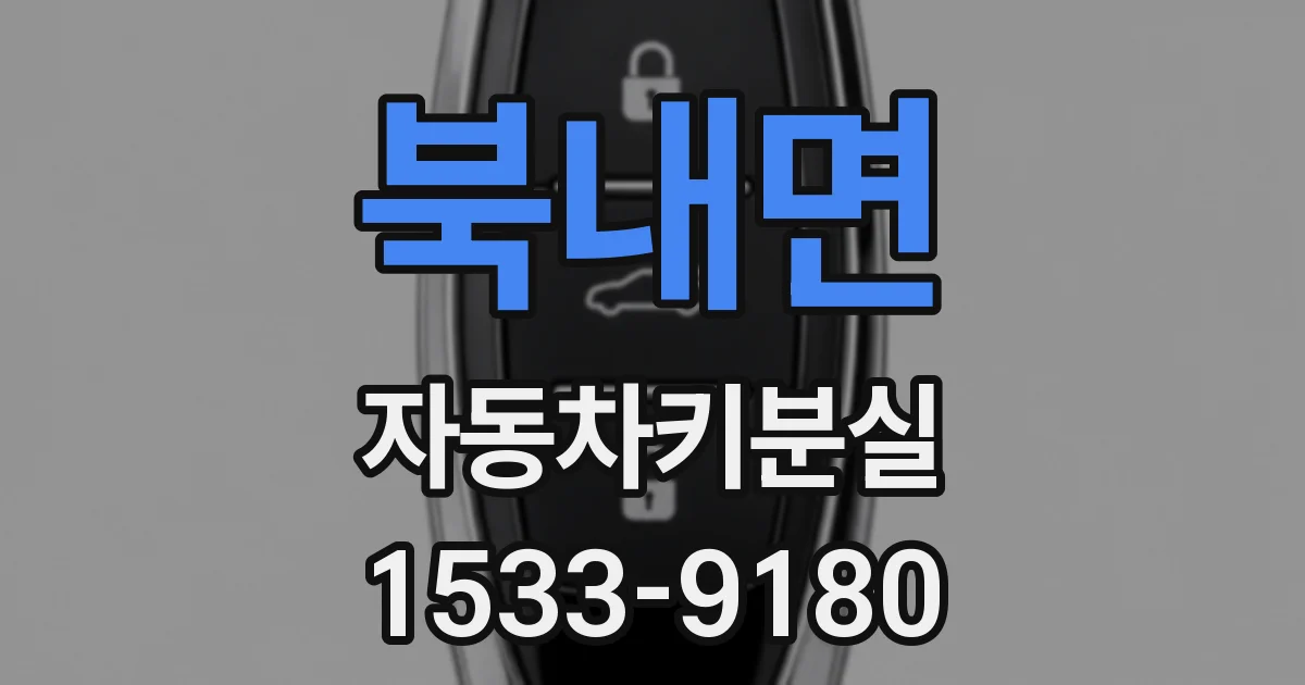 북내면 자동차키분실