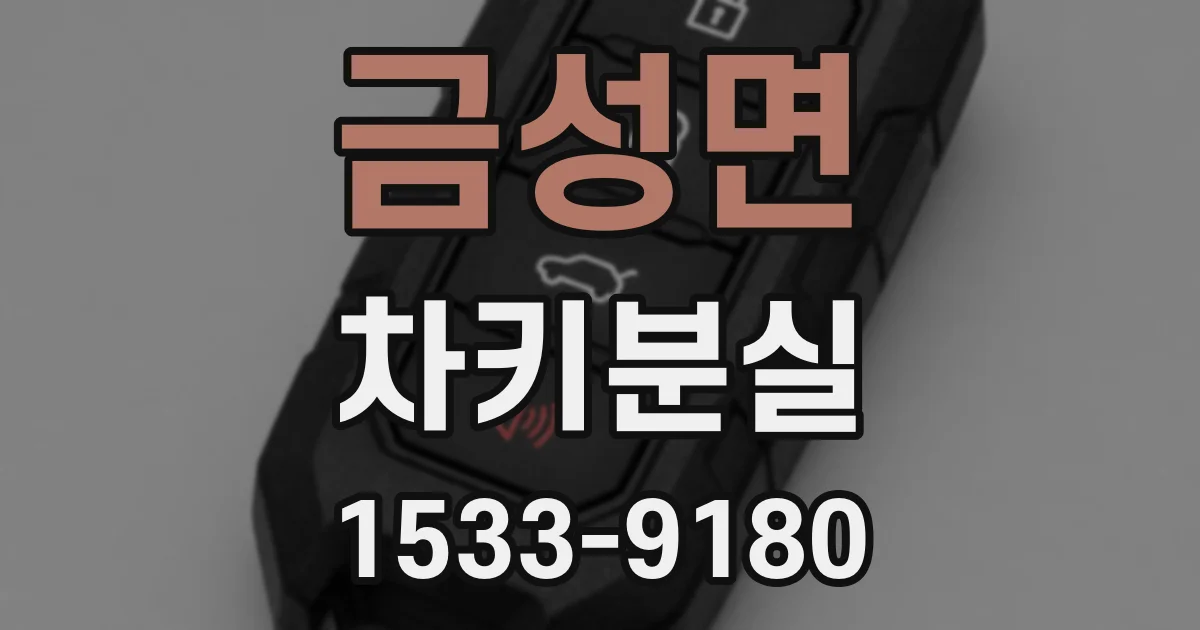 금성면 차키분실
