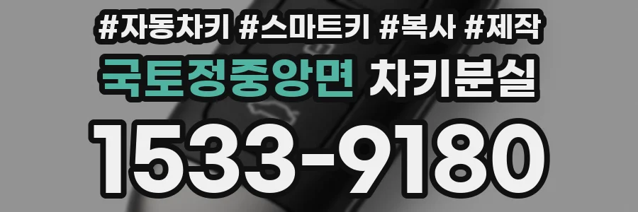 국토정중앙면 차키분실