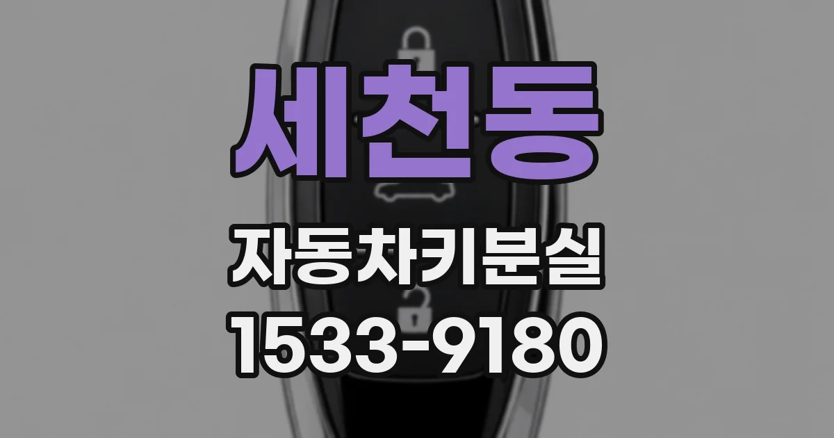 세천동 자동차키분실