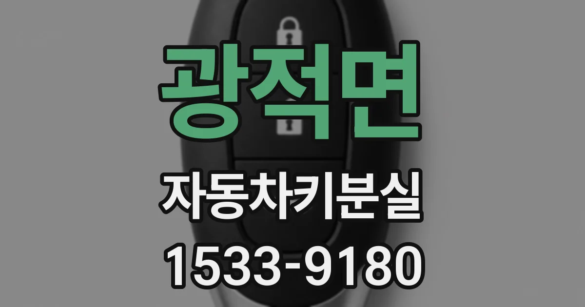 광적면 자동차키분실