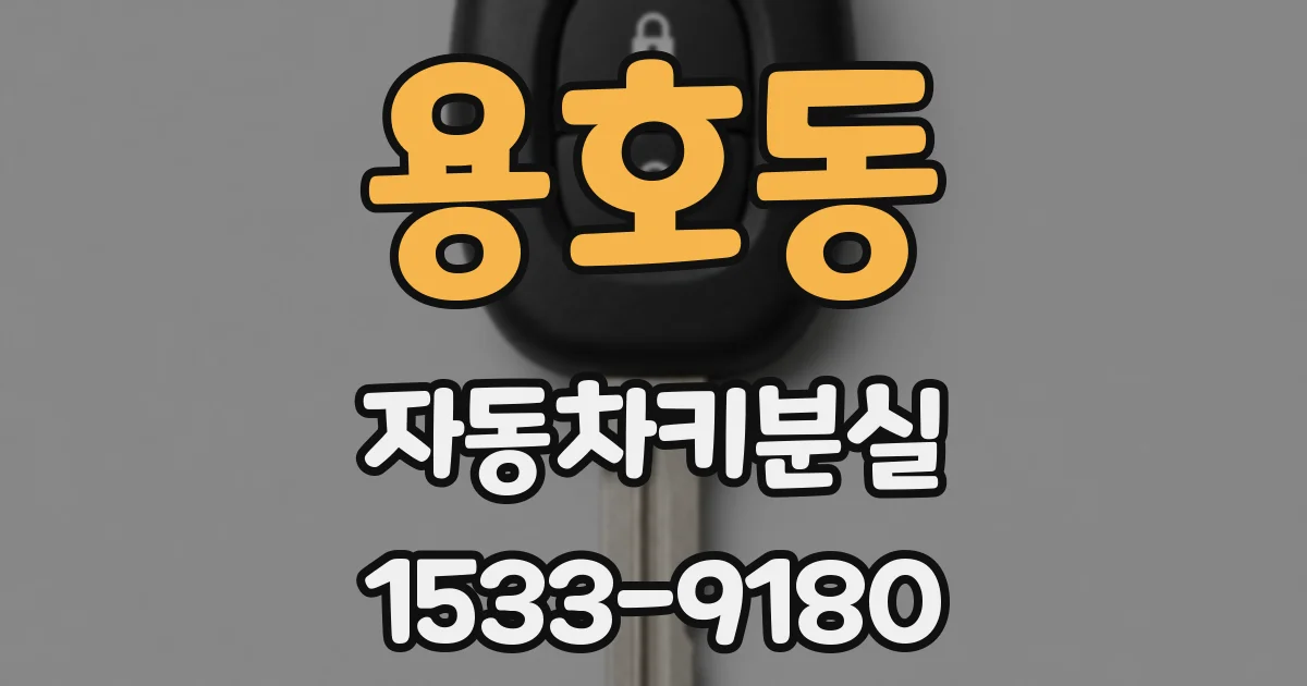 용호동 자동차키분실