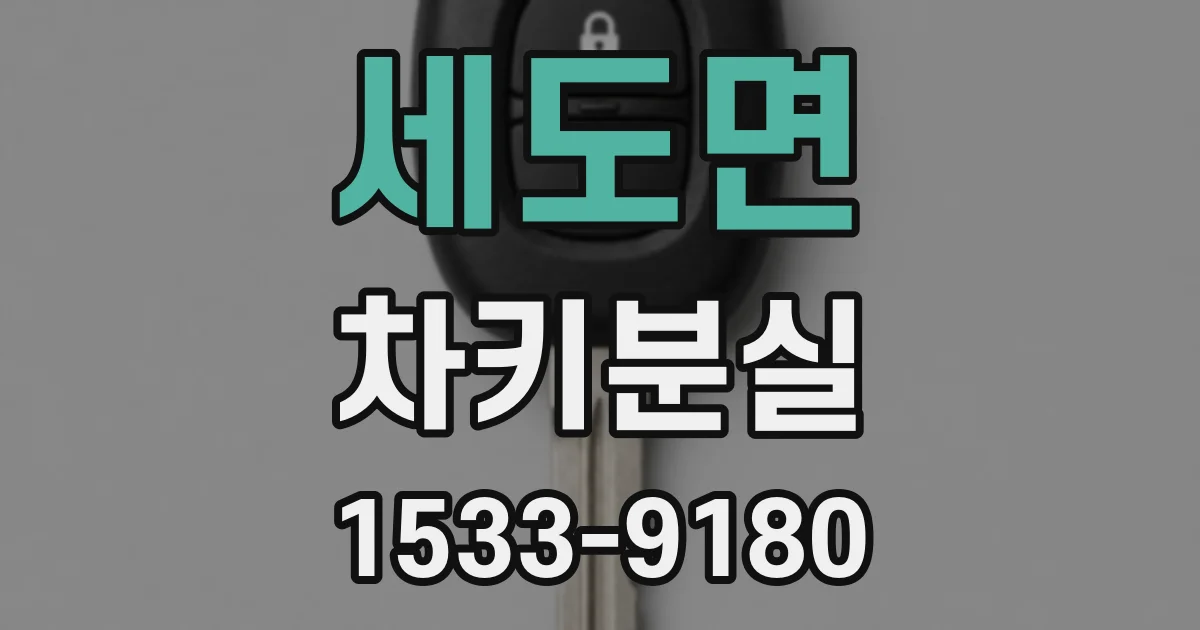 세도면 차키분실