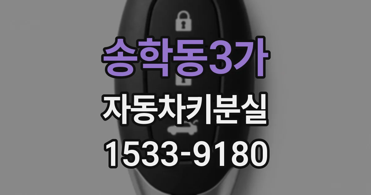 송학동3가 자동차키분실