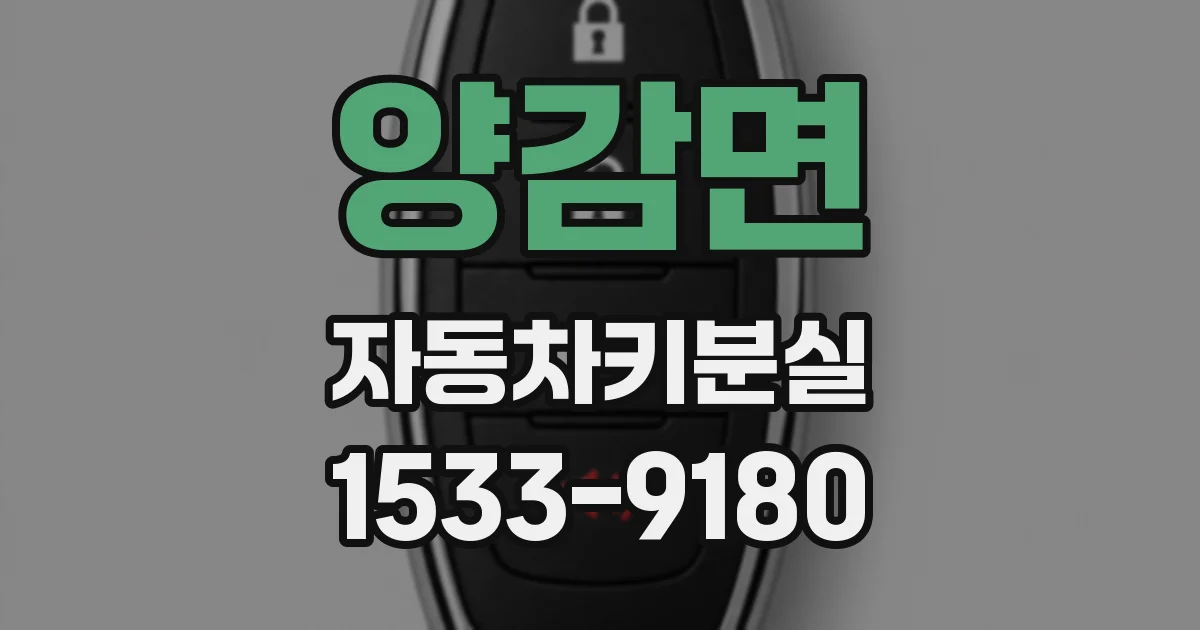 양감면 자동차키분실