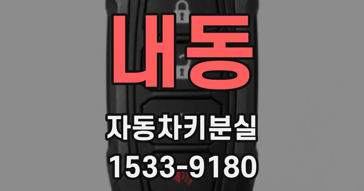 내동 자동차키분실