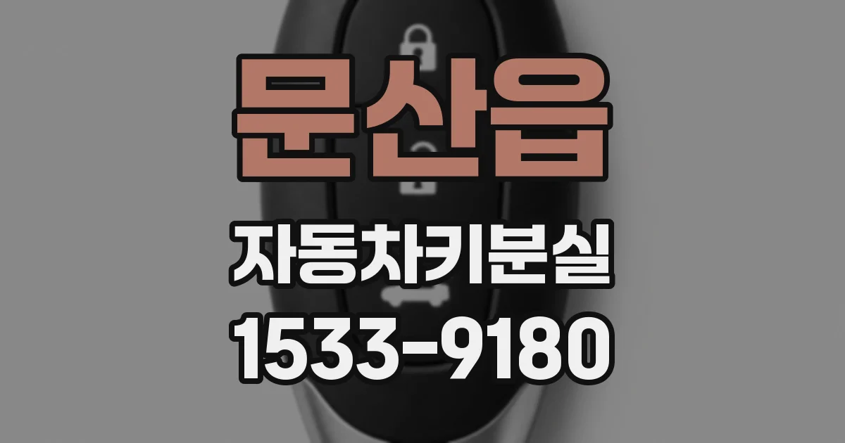 문산읍 자동차키분실
