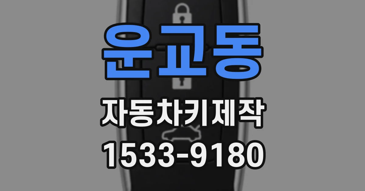 운교동 자동차키제작