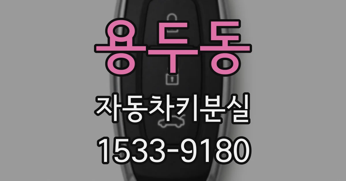 용두동 자동차키분실