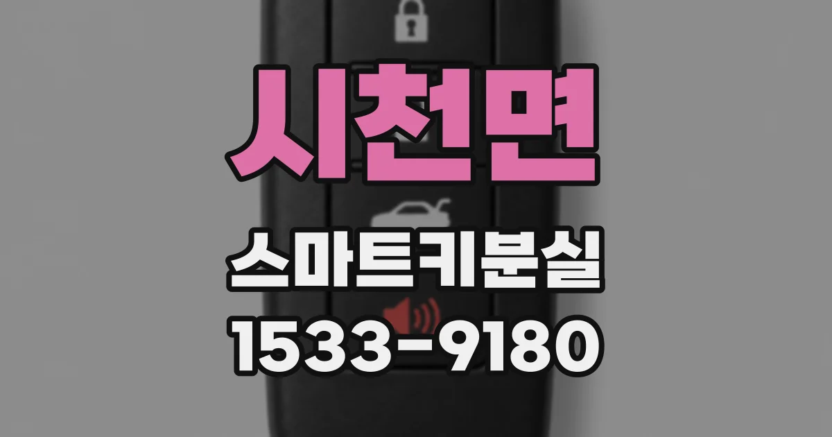 시천면 스마트키분실