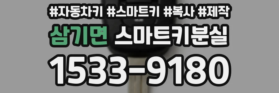 삼기면 스마트키분실