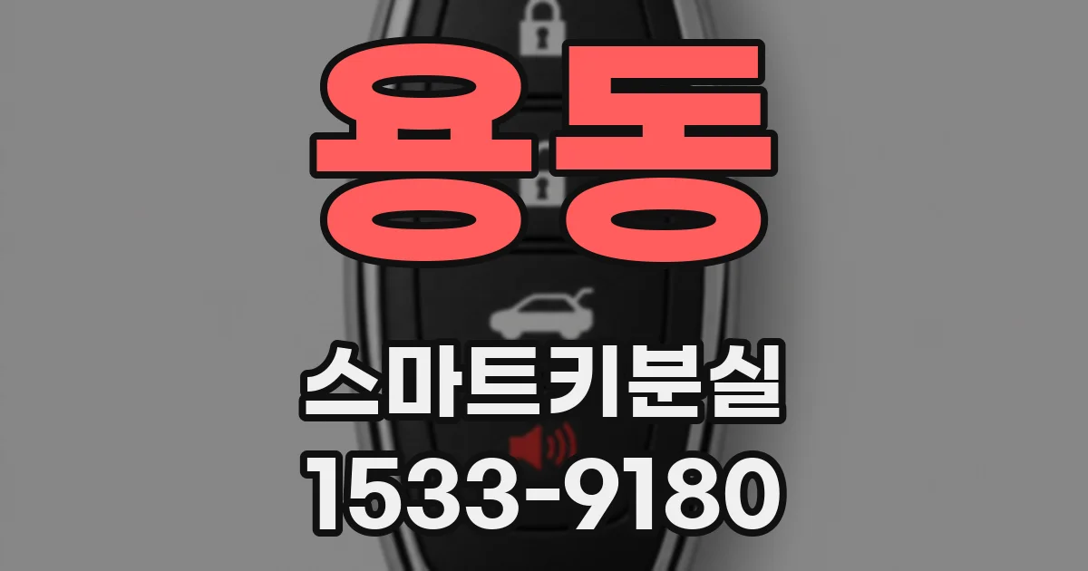 용동 스마트키분실