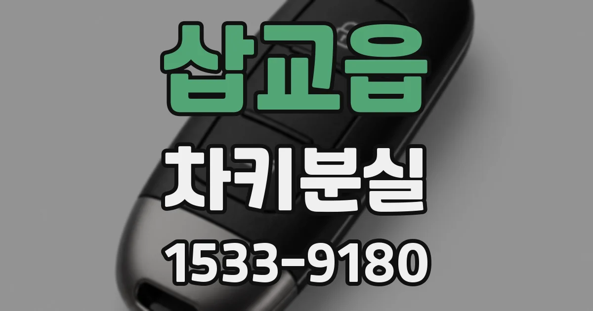 삽교읍 차키분실